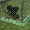 Dog Kennel Grass Barrier