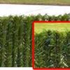 Hedge Link vs. Permahedge
